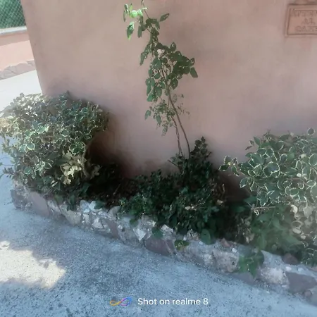 La Dimora Di Ale
